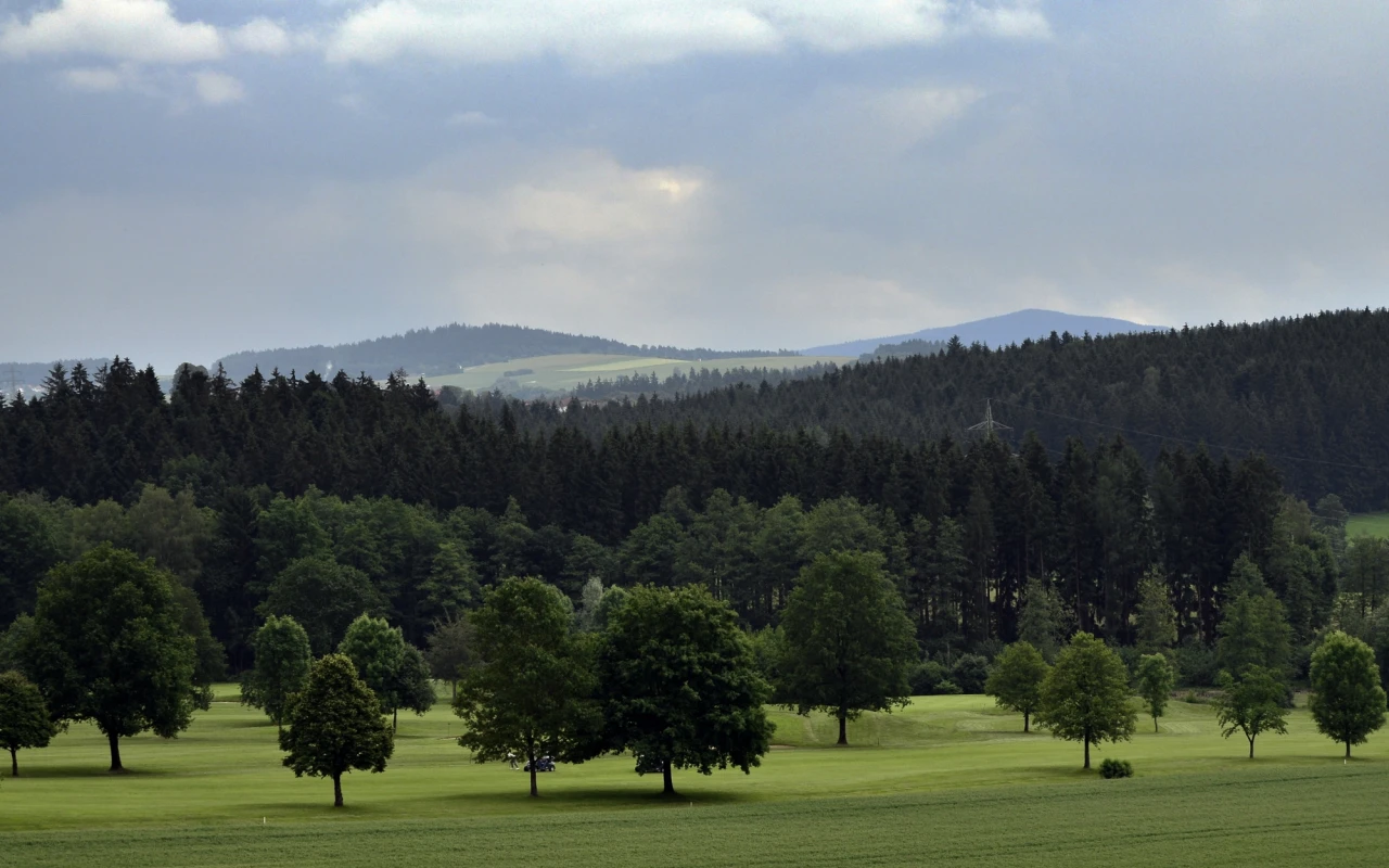 Bild Golfplatz Raßbach