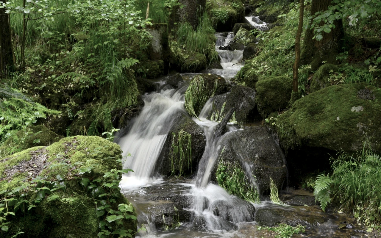 Bild Bach Kellberg