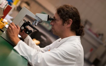 Bild Indikationen und Diagnostik
