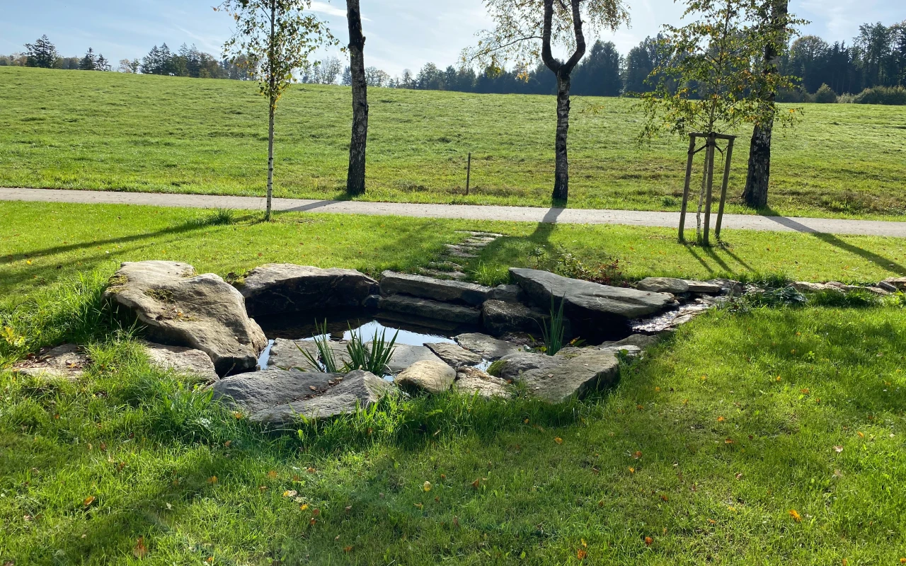 Bild Naturnah gestalteter Bachlauf, umgeben von Wiesen und Bäumen. Ein ruhiger Ort zum Entspannen im Klinikpark.