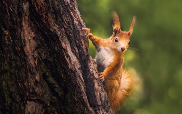Bild Achtsamkeit - Übungen