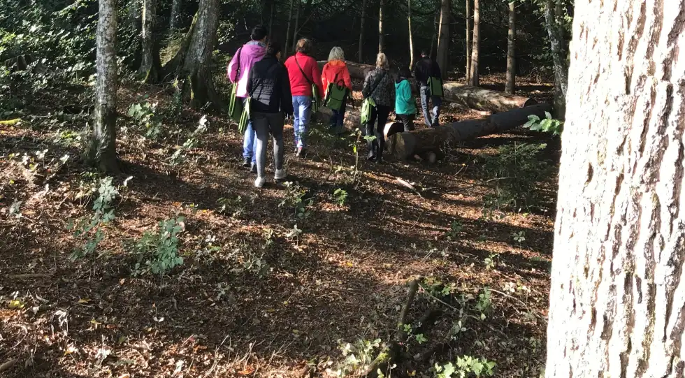 Waldtherapie - Klinik Prof. Schedel