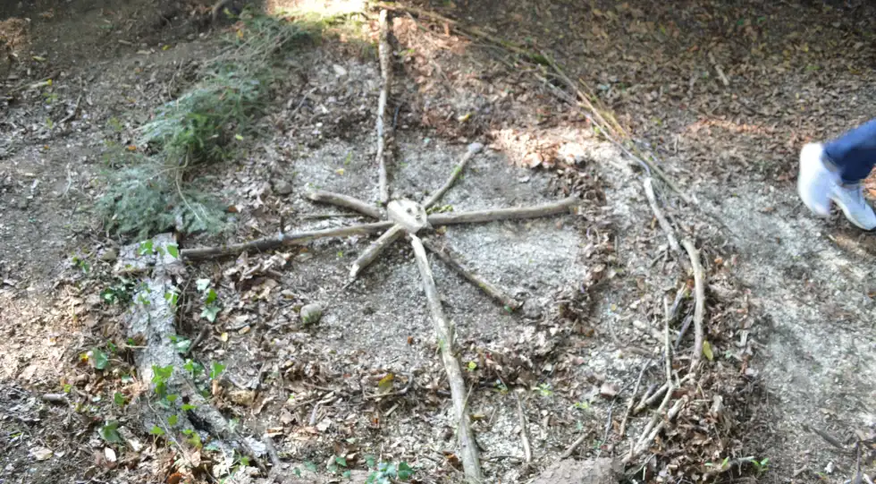 Waldtherapie - Klinik Prof. Schedel
